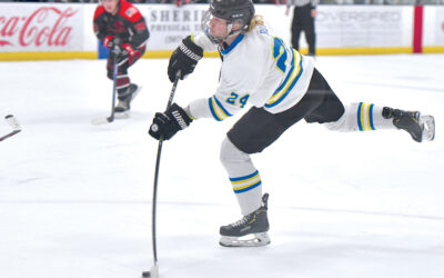 Hawks Sweep Cobras