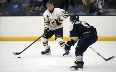 Hawks Split With Great Falls at Home